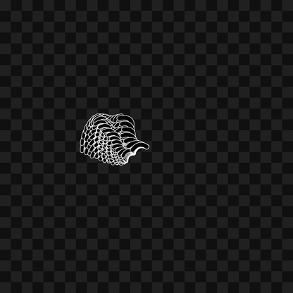 Bar flap wing asset pack / 10 loops