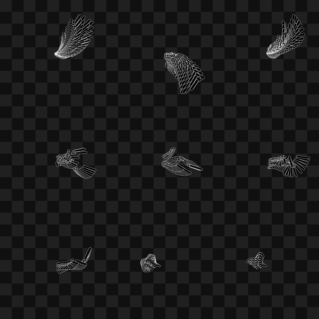Bar flap wing asset pack / 10 loops