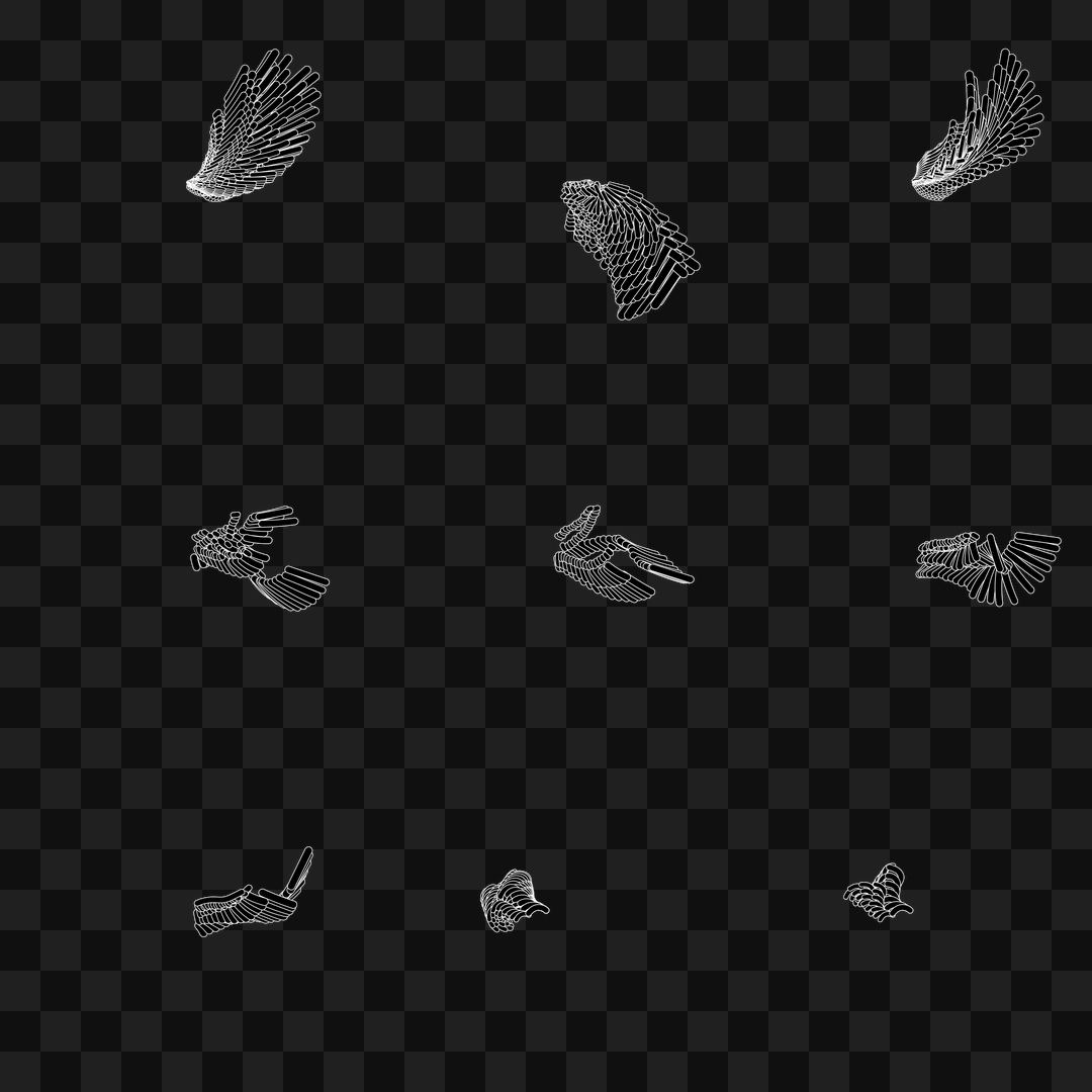 Bar flap wing asset pack / 10 loops