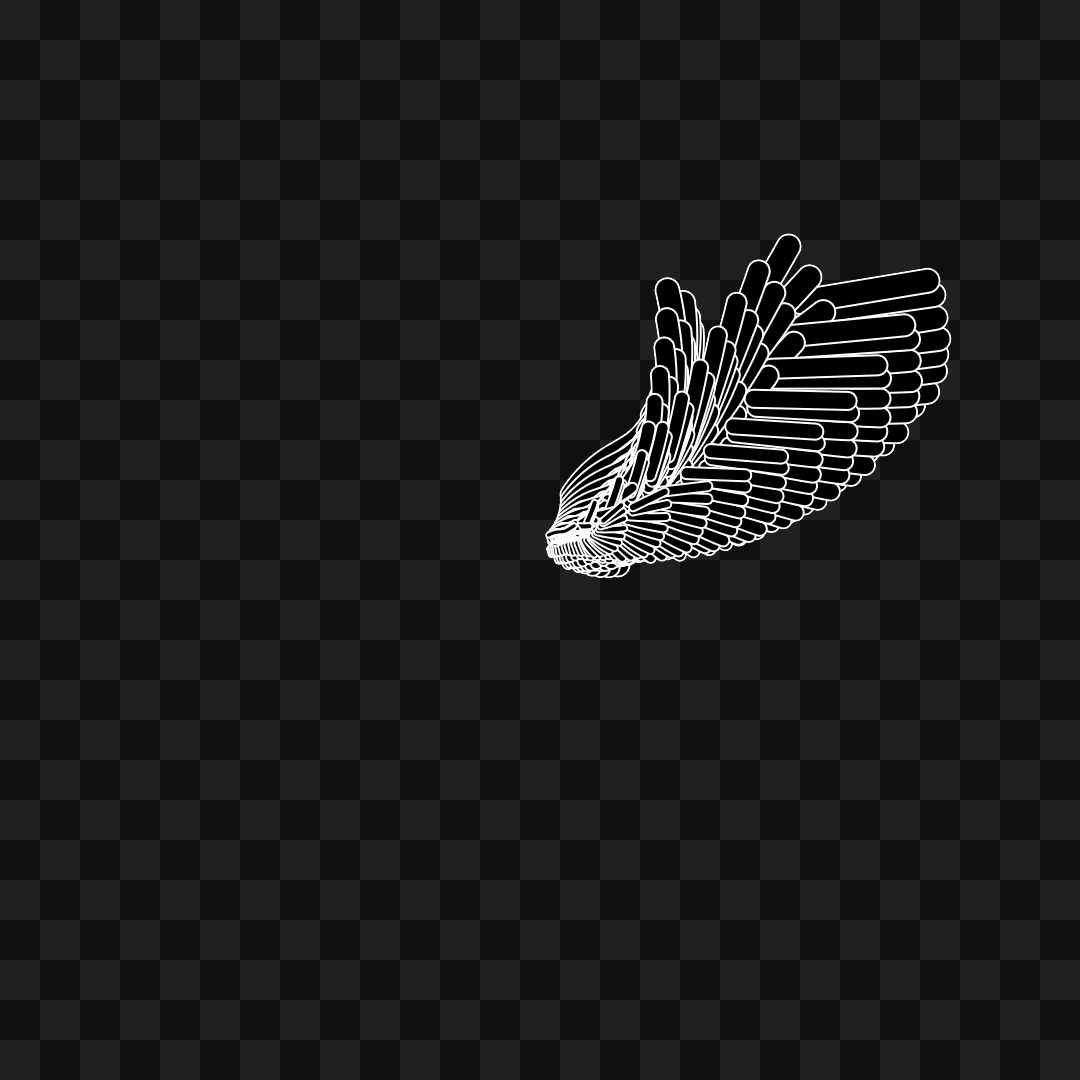 Bar flap wing asset pack / 10 loops