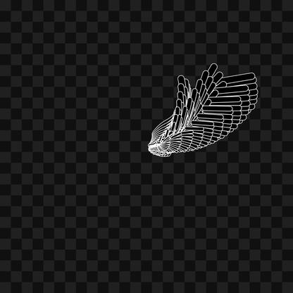 Bar flap wing asset pack / 10 loops