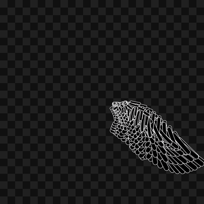 Bar flap wing asset pack / 10 loops