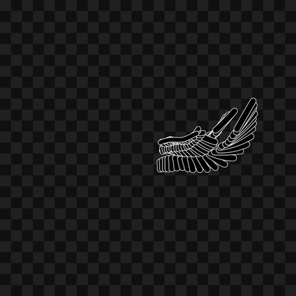 Bar flap wing asset pack / 10 loops