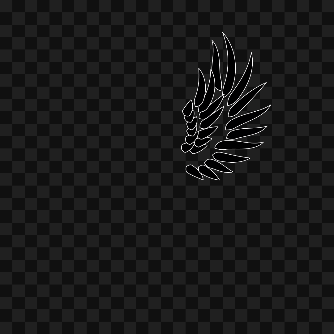 Bold flap wing asset pack / 10 loops