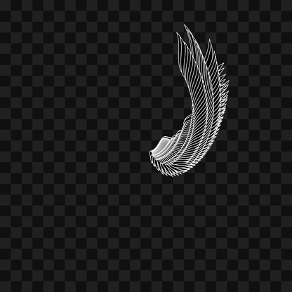 Bold flap wing asset pack / 10 loops