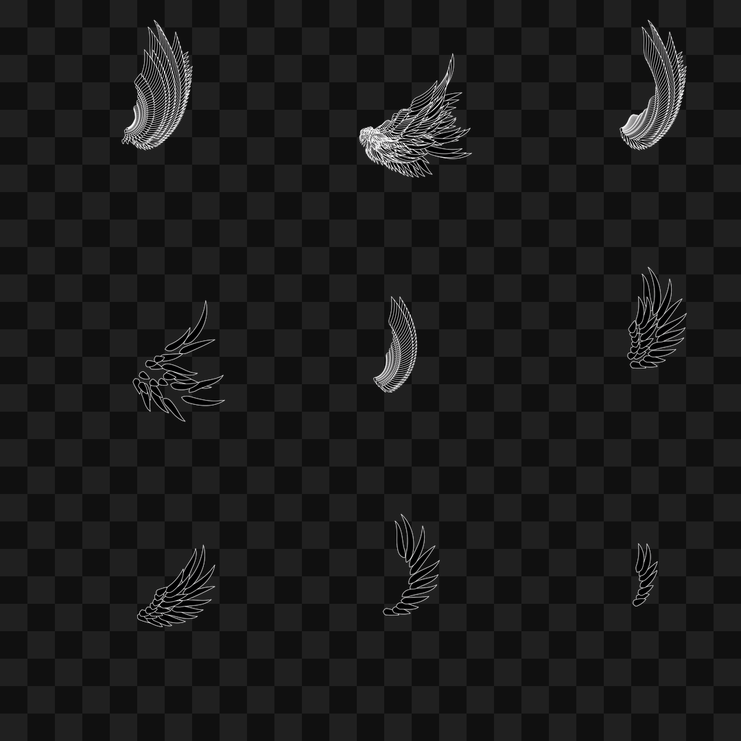 Bold flap wing asset pack / 10 loops