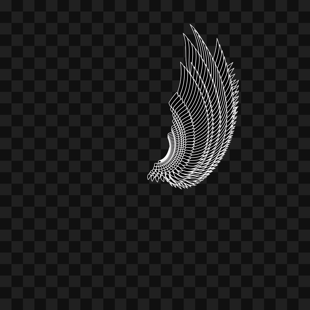Bold flap wing asset pack / 10 loops