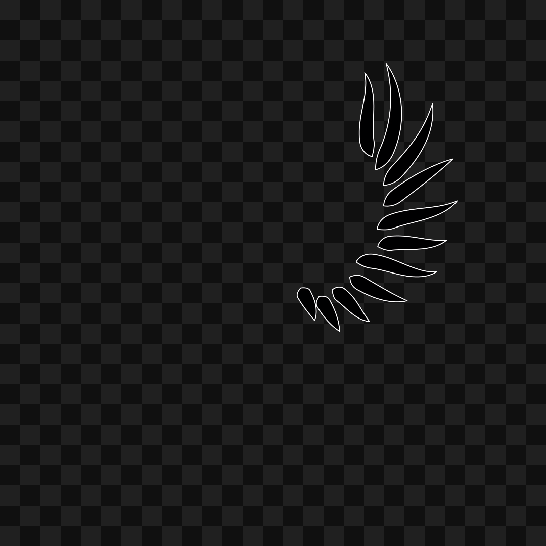 Bold flap wing asset pack / 10 loops
