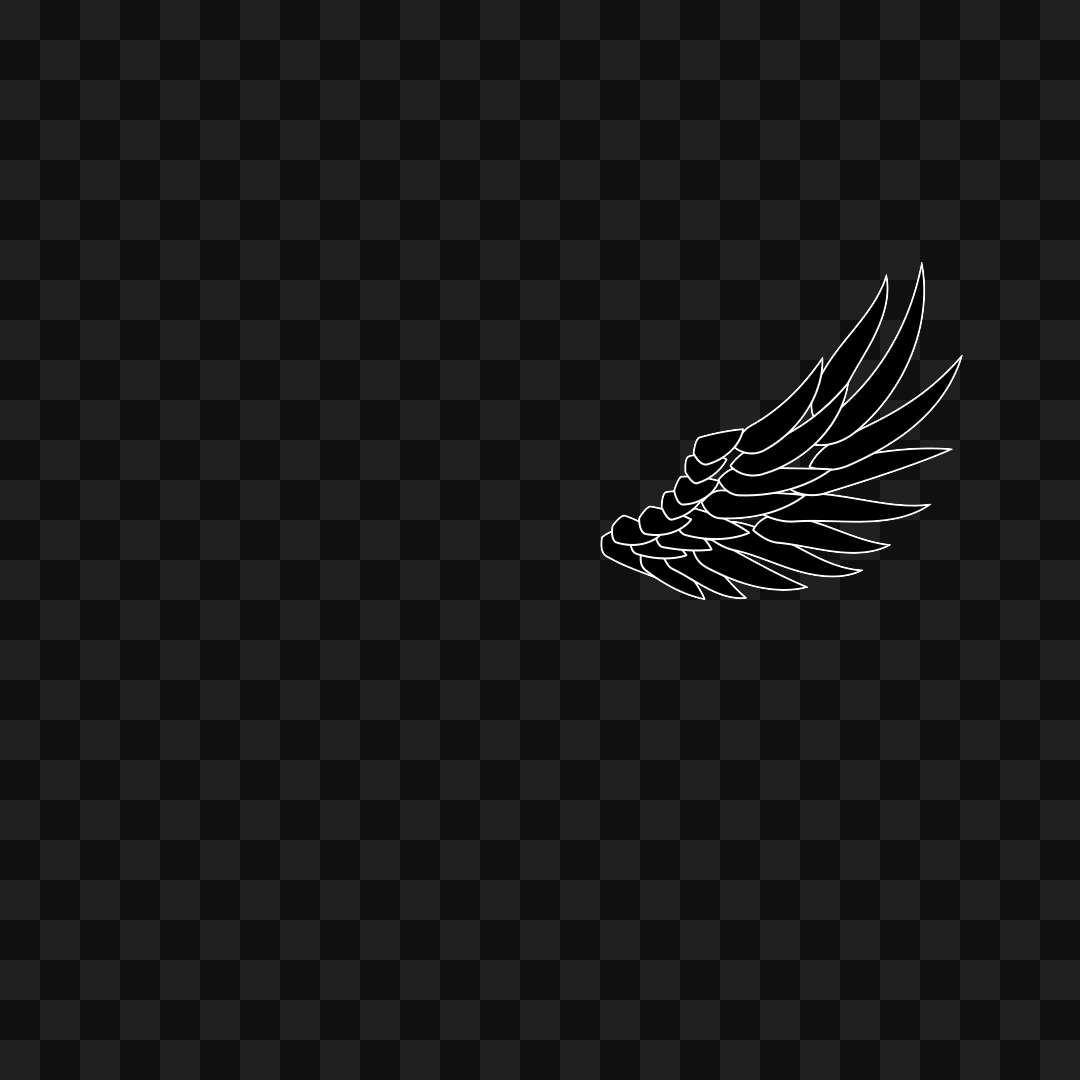 Bold flap wing asset pack / 10 loops
