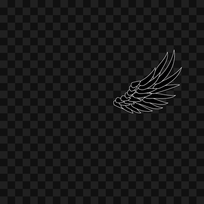 Bold flap wing asset pack / 10 loops