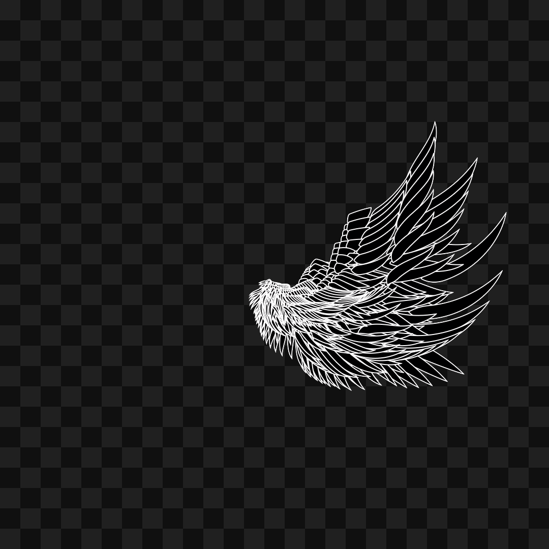 Bold flap wing asset pack / 10 loops