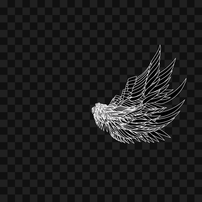 Bold flap wing asset pack / 10 loops