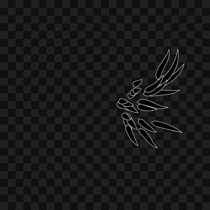 Bold flap wing asset pack / 10 loops