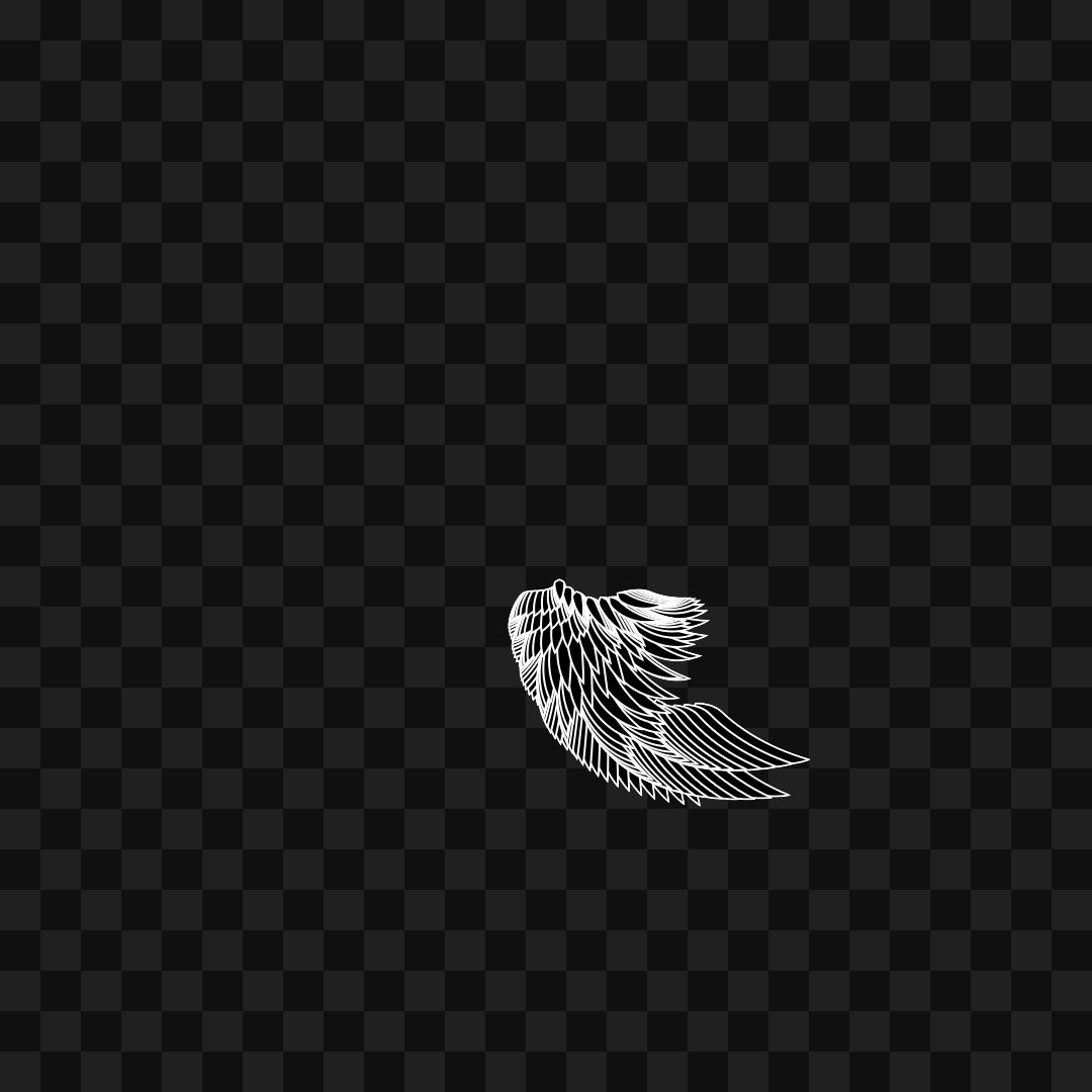 Bold flap wing asset pack / 10 loops