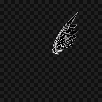 Craft flap wing asset pack / 11 loops
