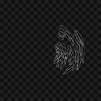 Feather flap wing asset pack / 8 loops