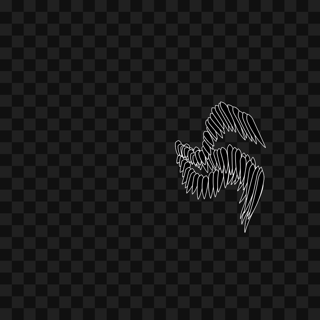 Feather flap wing asset pack / 8 loops