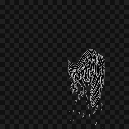 Feather flap wing asset pack / 8 loops