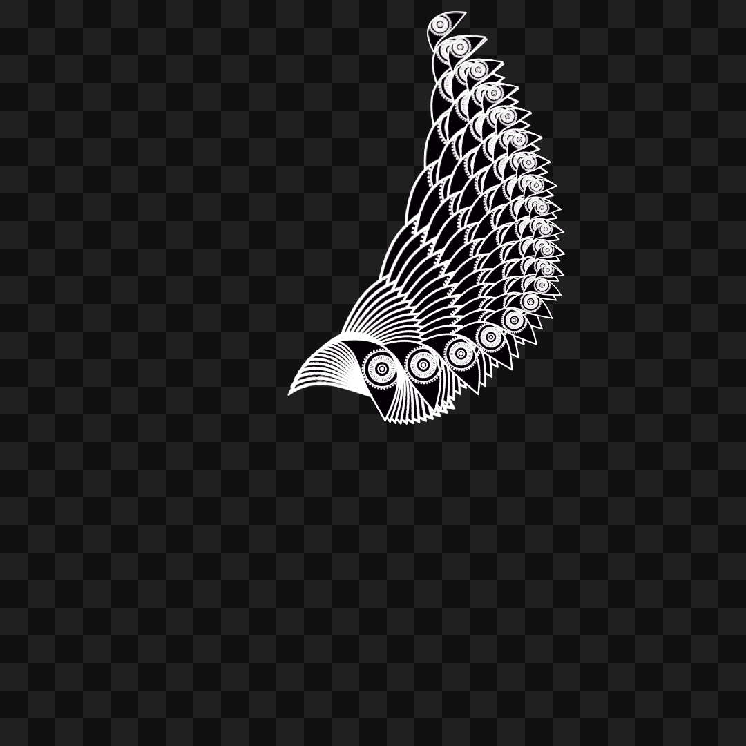 Optic flap wing asset pack / 6 loops