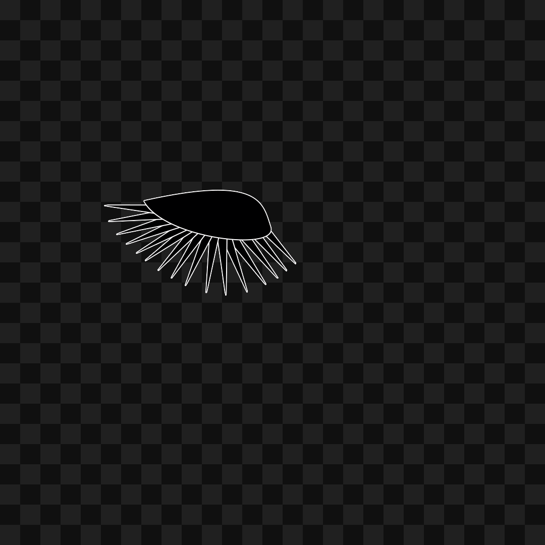 Random flap wing asset pack / 9 loops