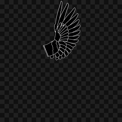 Random flap wing asset pack / 9 loops