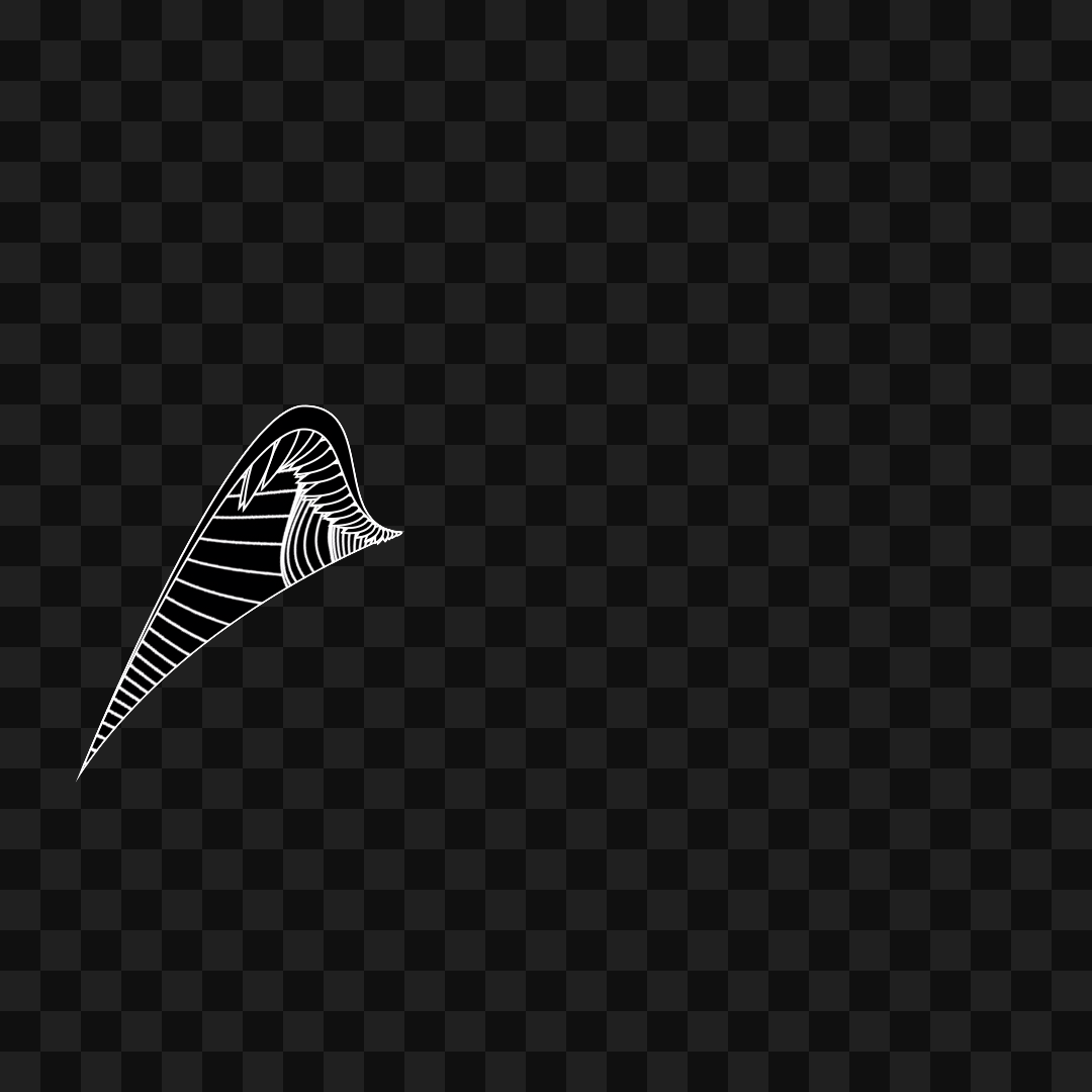 Random flap wing asset pack / 9 loops