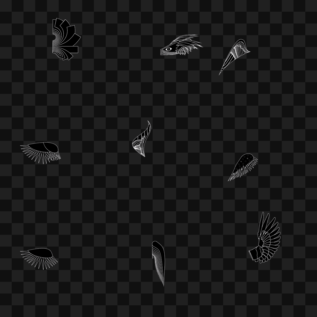 Random flap wing asset pack / 9 loops