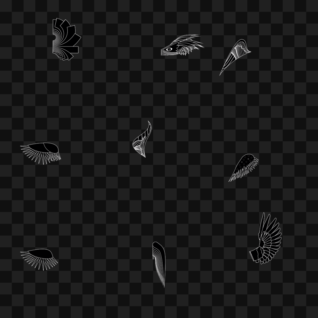 Random flap wing asset pack / 9 loops