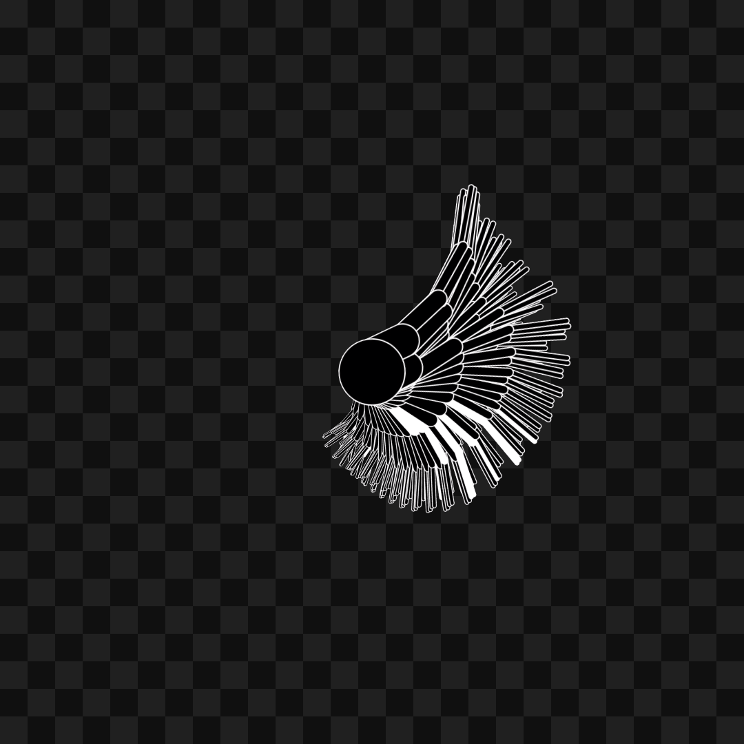Round flap wing asset pack / 11 loops