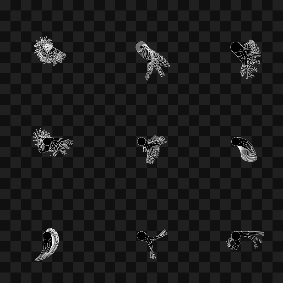 Round flap wing asset pack / 11 loops