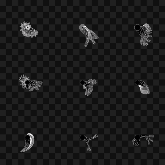 Round flap wing asset pack / 11 loops