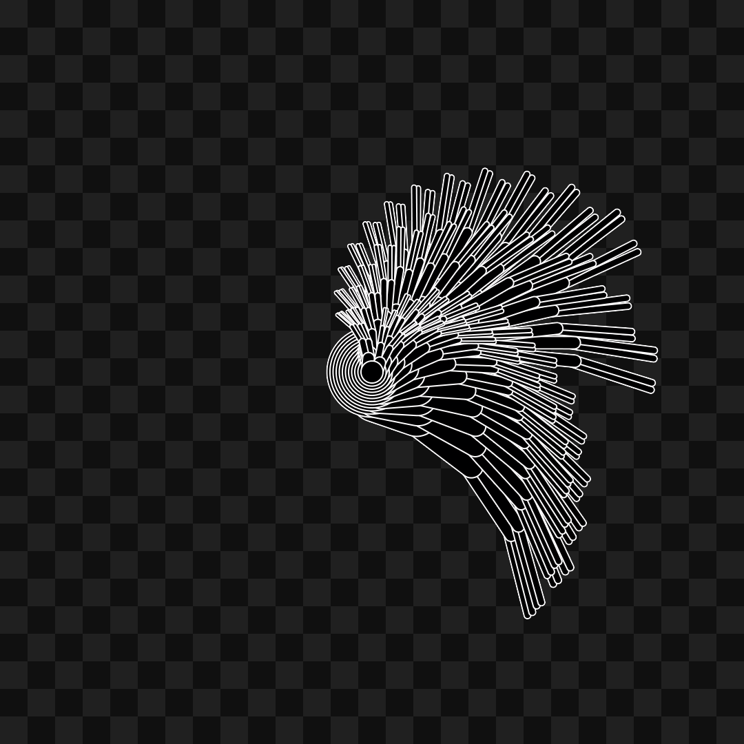 Round flap wing asset pack / 11 loops