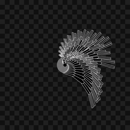 Round flap wing asset pack / 11 loops