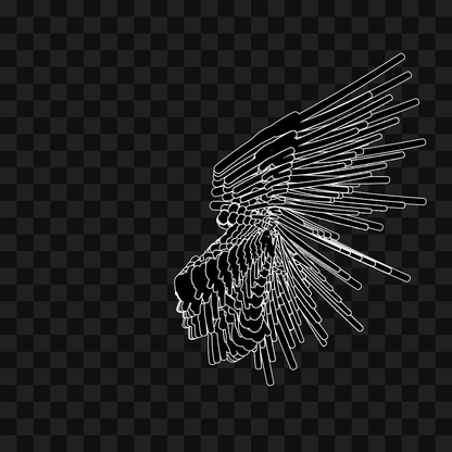 Smack flap wing asset pack / 6 loops
