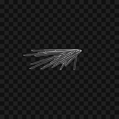 Smack flap wing asset pack / 6 loops