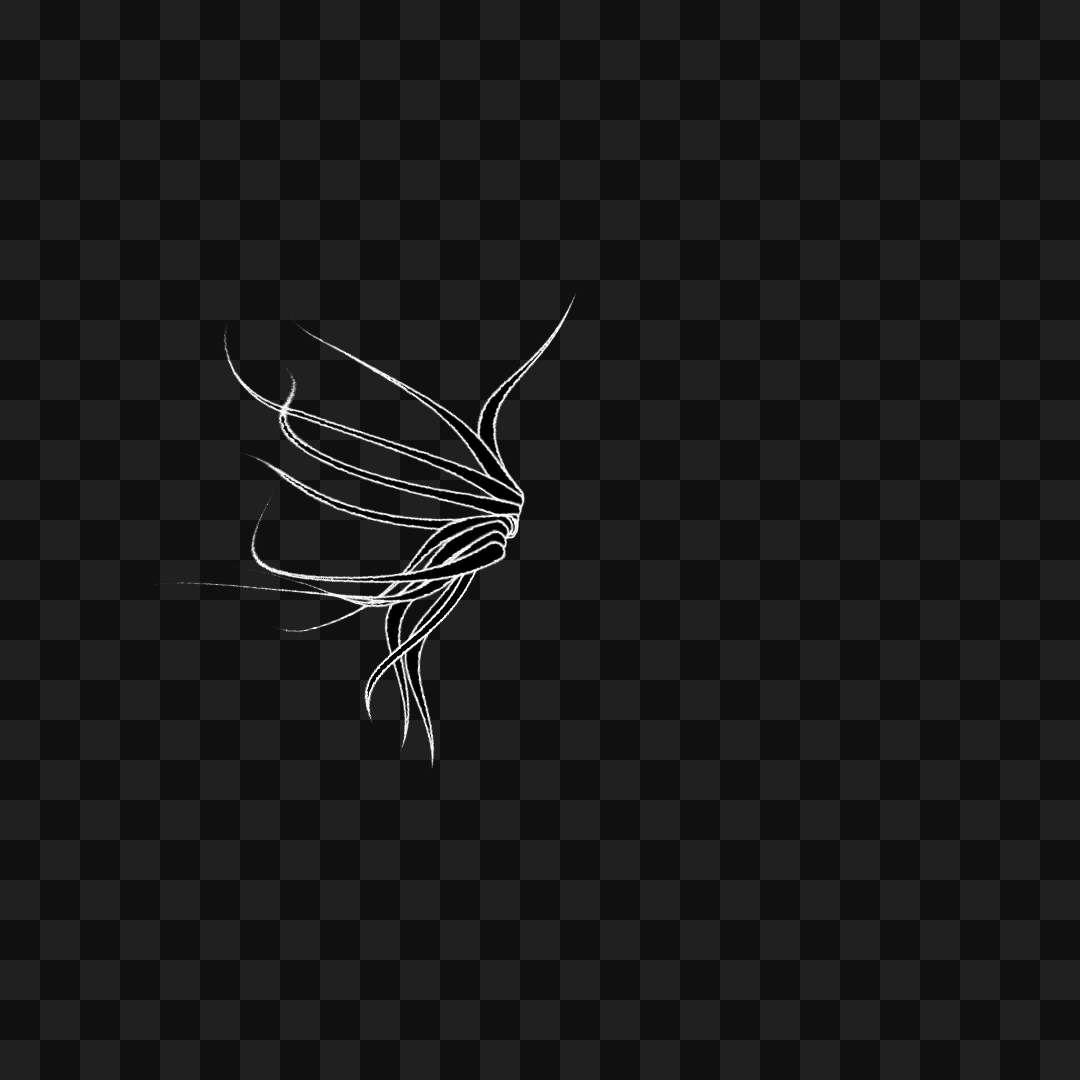 Smack flap wing asset pack / 6 loops