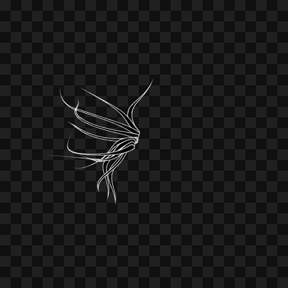 Smack flap wing asset pack / 6 loops