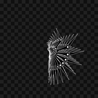 Smack flap wing asset pack / 6 loops