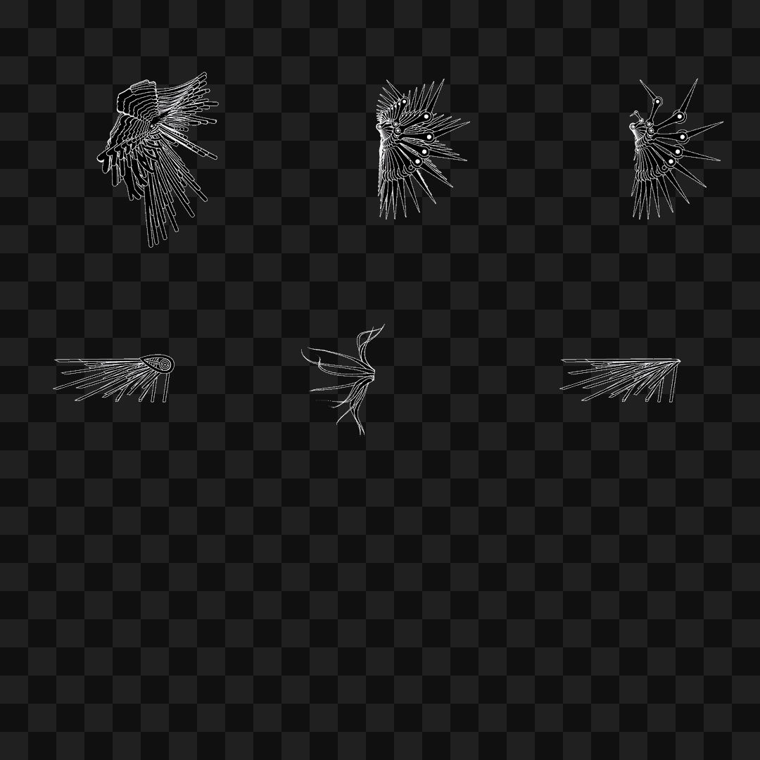 Smack flap wing asset pack / 6 loops