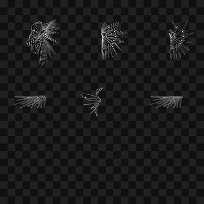 Smack flap wing asset pack / 6 loops