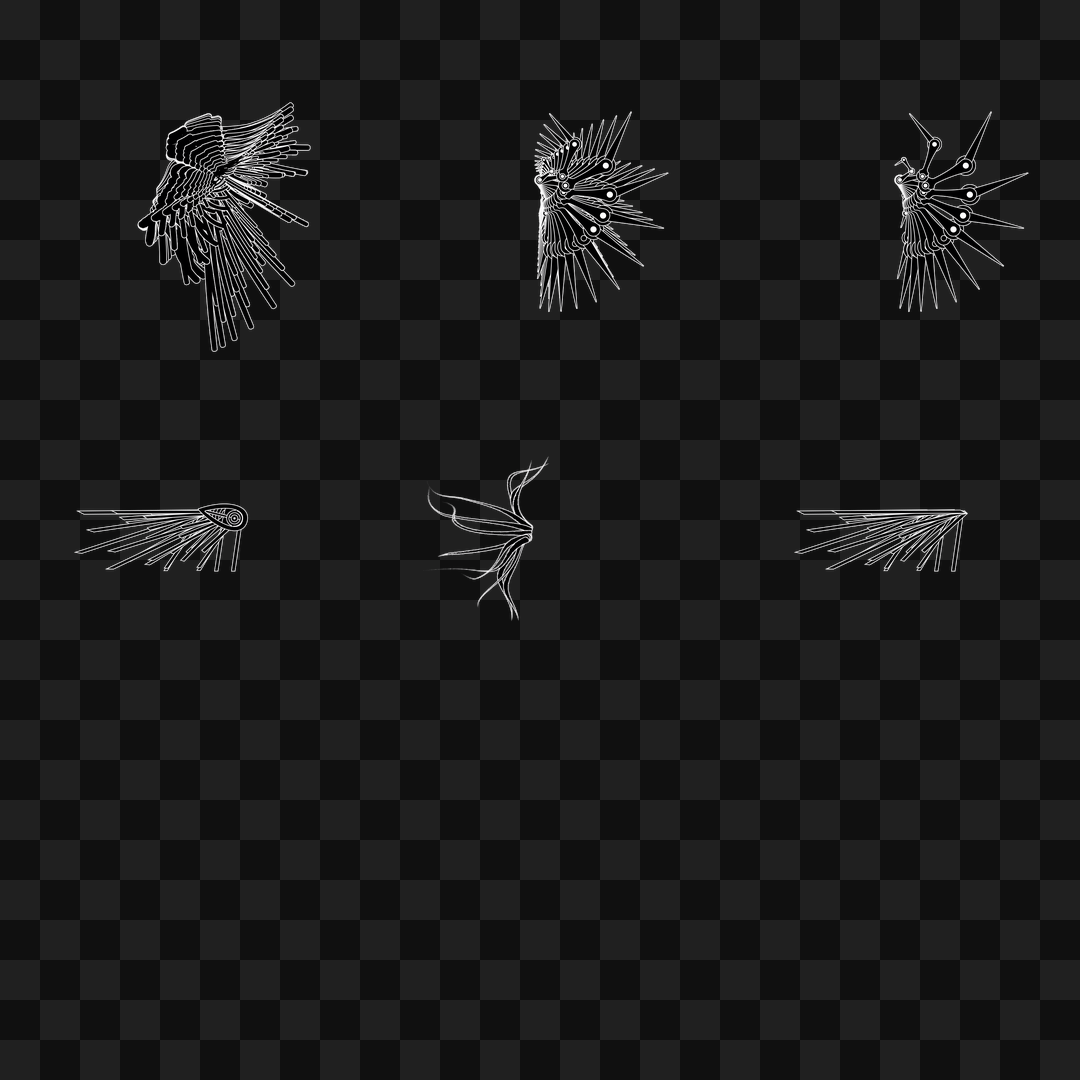 Smack flap wing asset pack / 6 loops