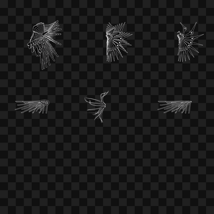 Smack flap wing asset pack / 6 loops