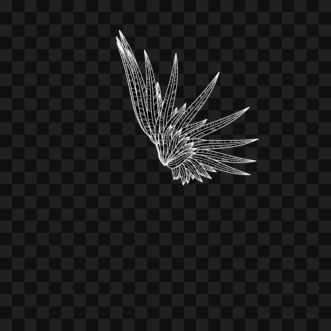 Softleaf flap wing asset pack / 12 loops