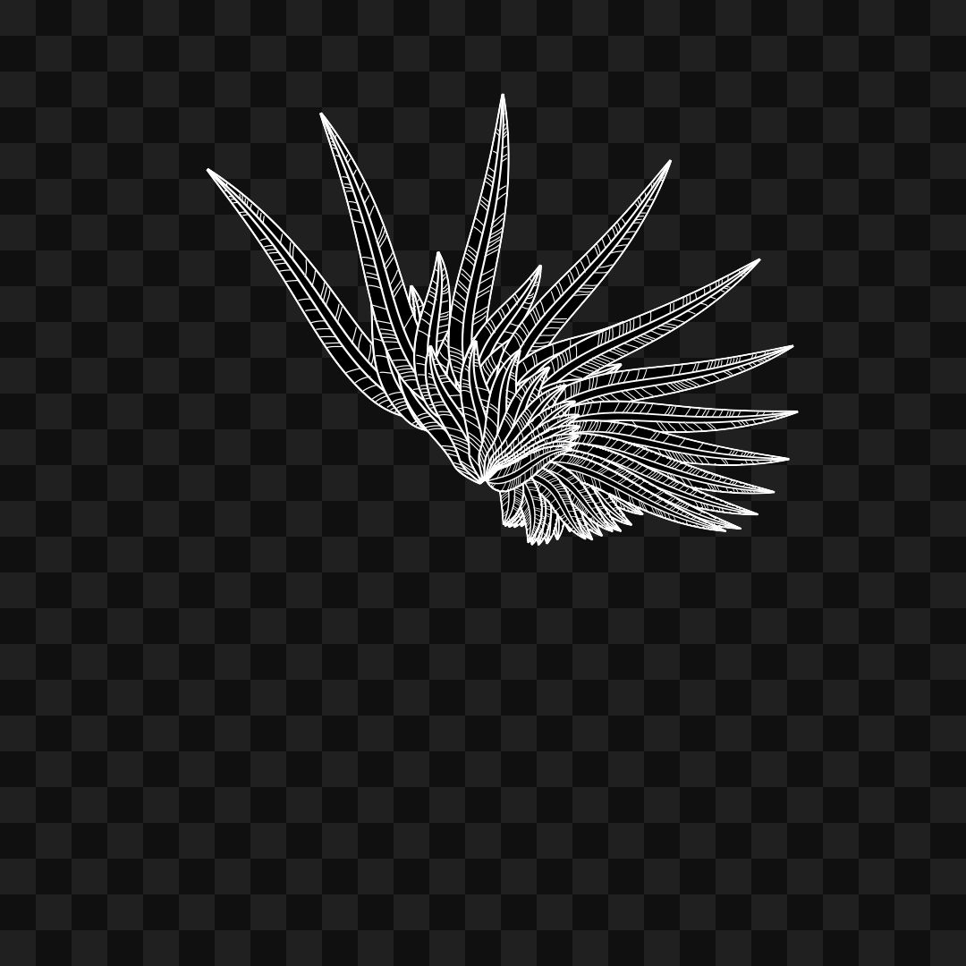 Softleaf flap wing asset pack / 12 loops