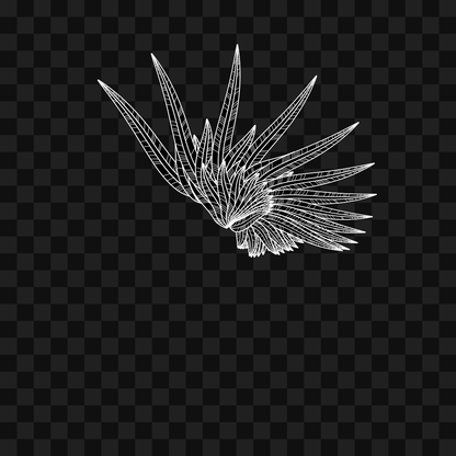 Softleaf flap wing asset pack / 12 loops