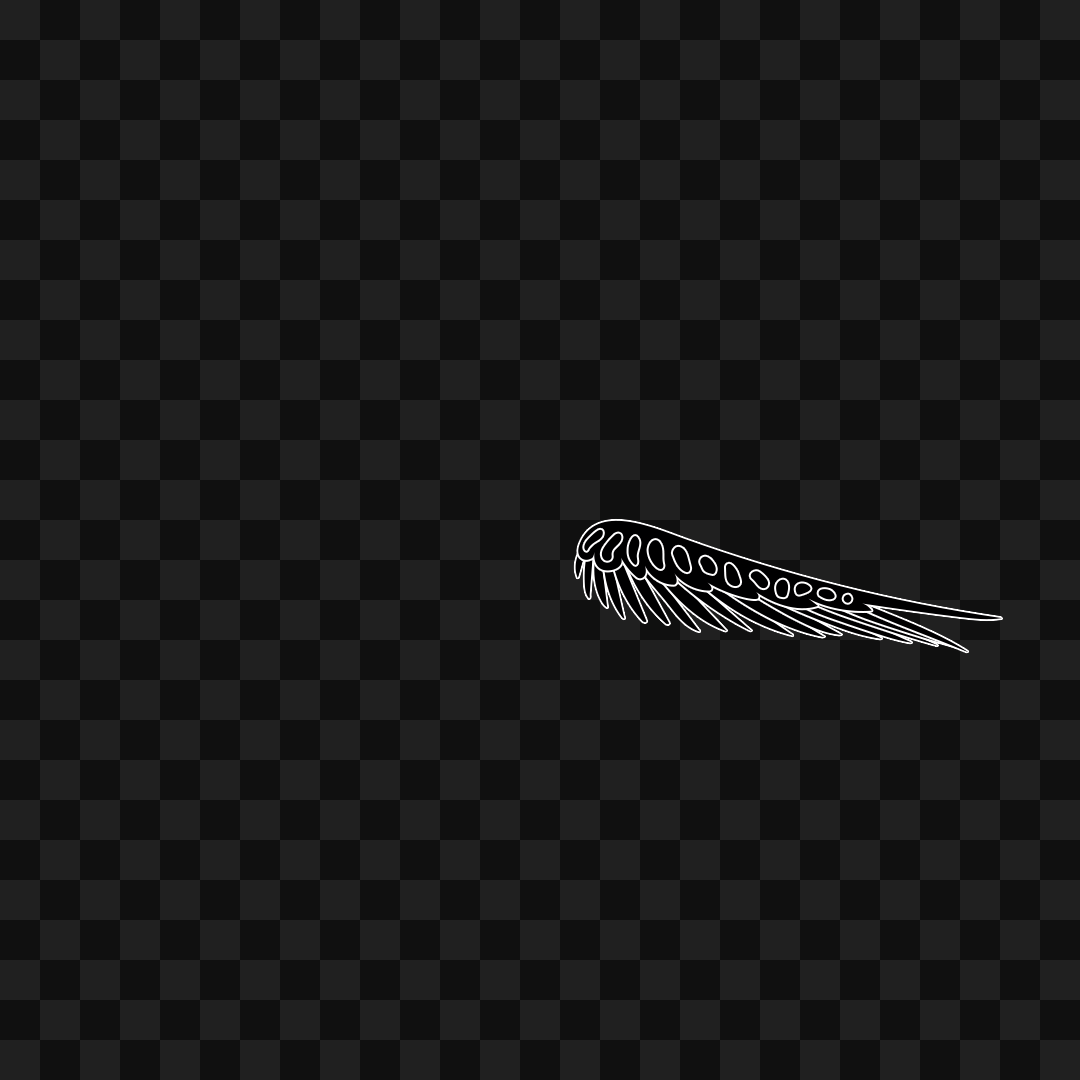 Static flap wing asset pack / 16 loops