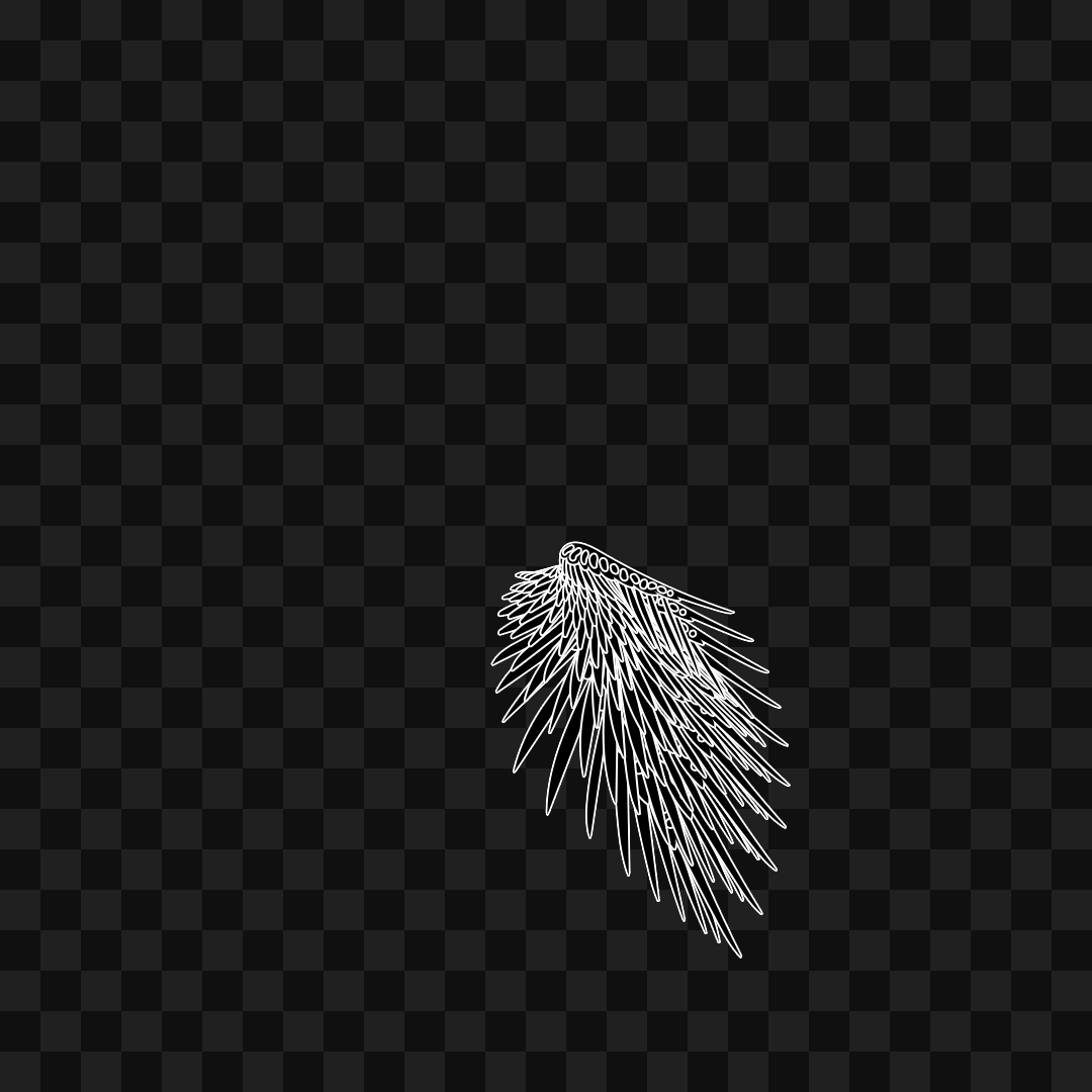 Static flap wing asset pack / 16 loops