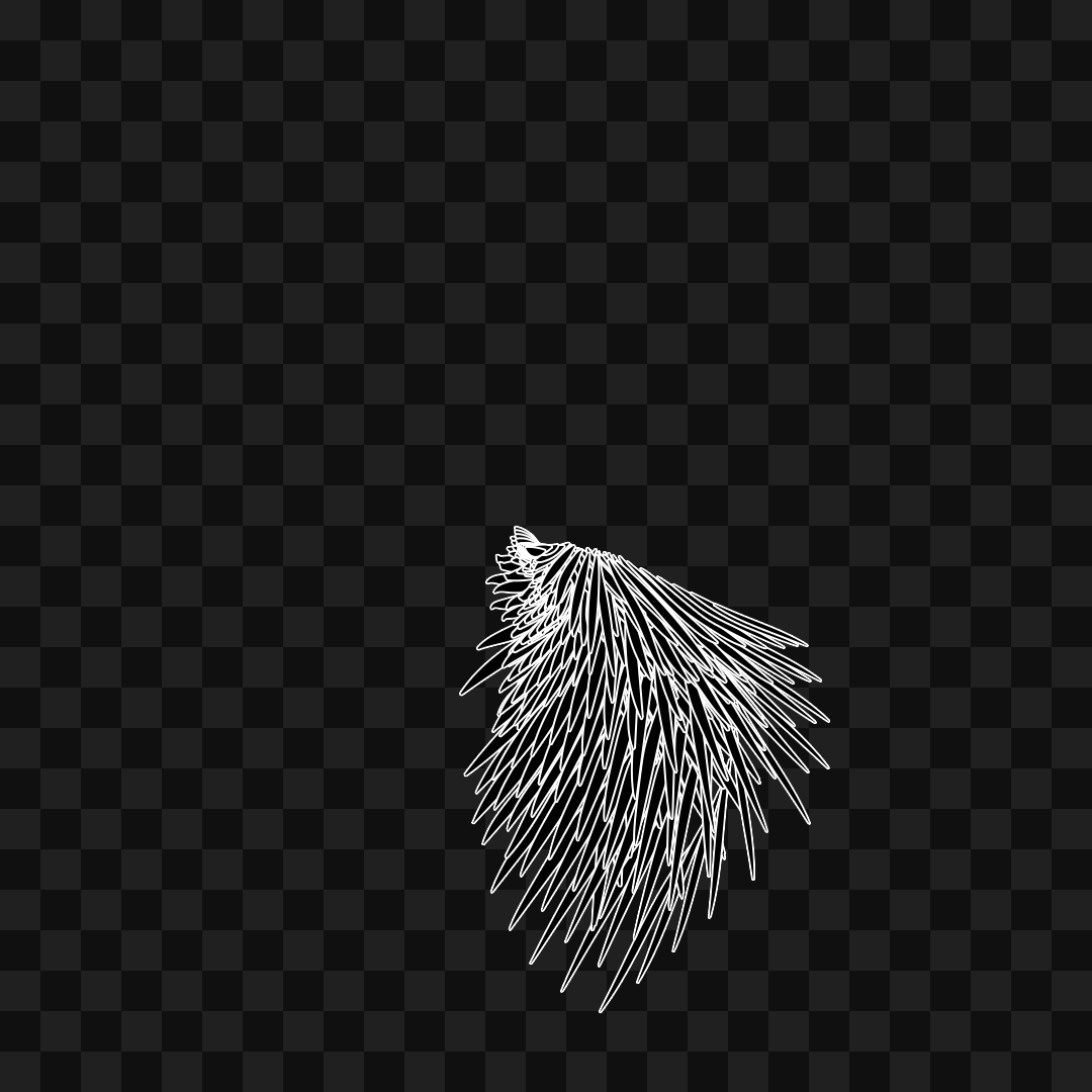 Static flap wing asset pack / 16 loops