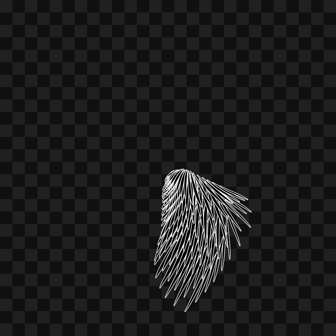 Static flap wing asset pack / 16 loops
