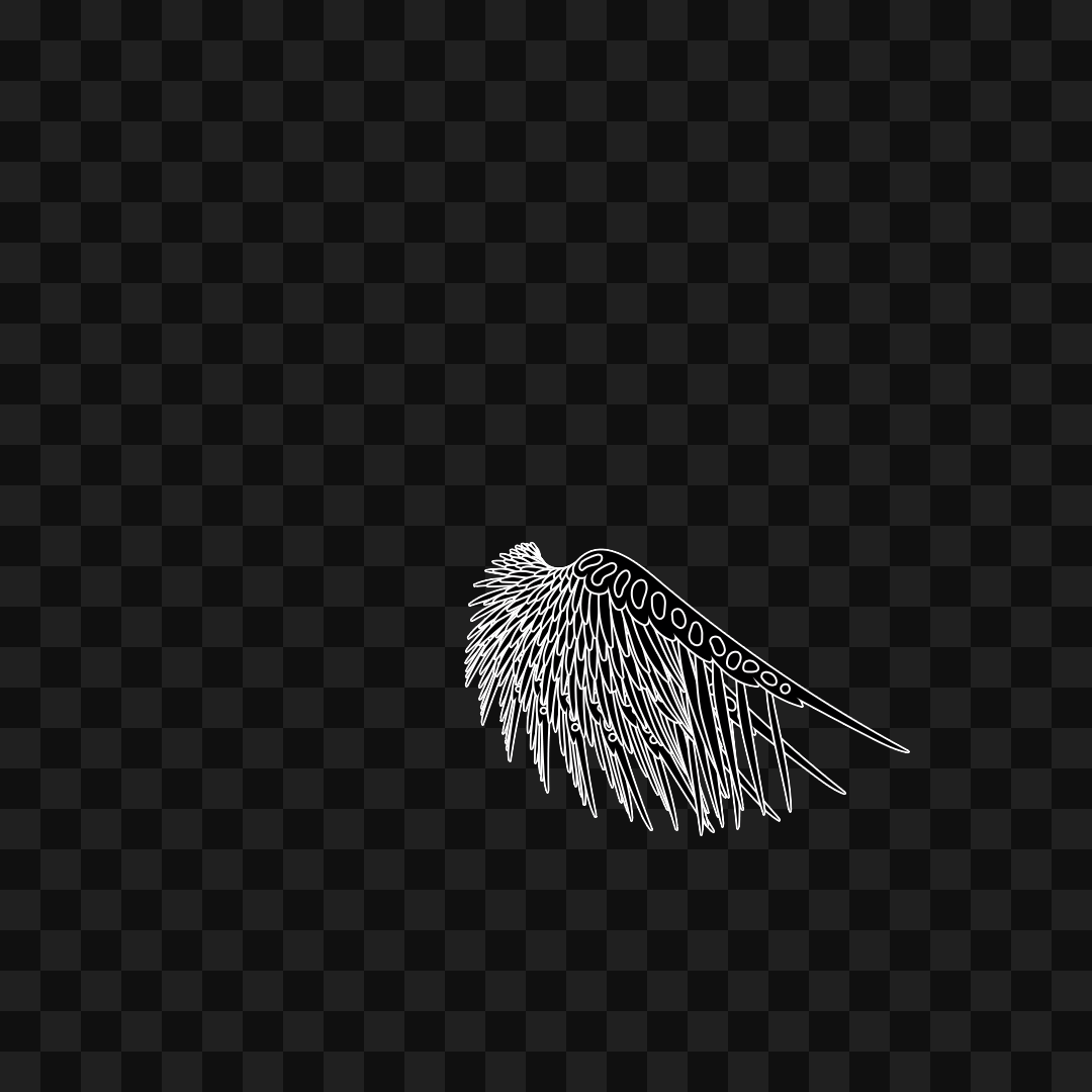 Static flap wing asset pack / 16 loops